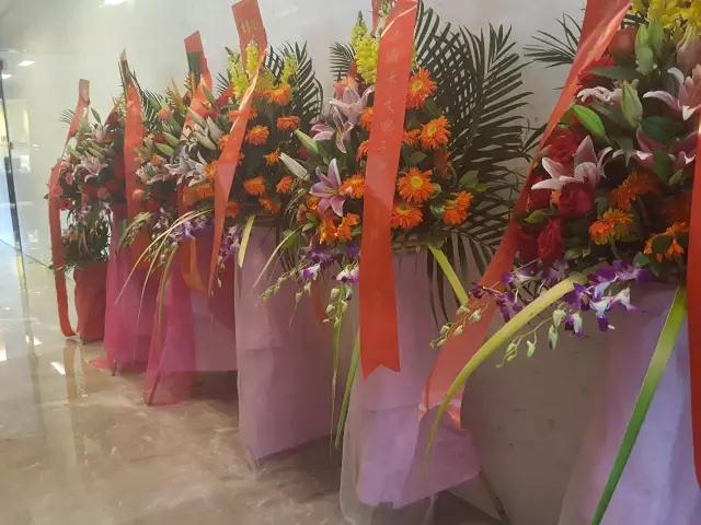 飞利浦强势进军智能锁领域,智能锁业再添生力! 飞利浦强势进军智能锁领域,智能锁业再添生力!